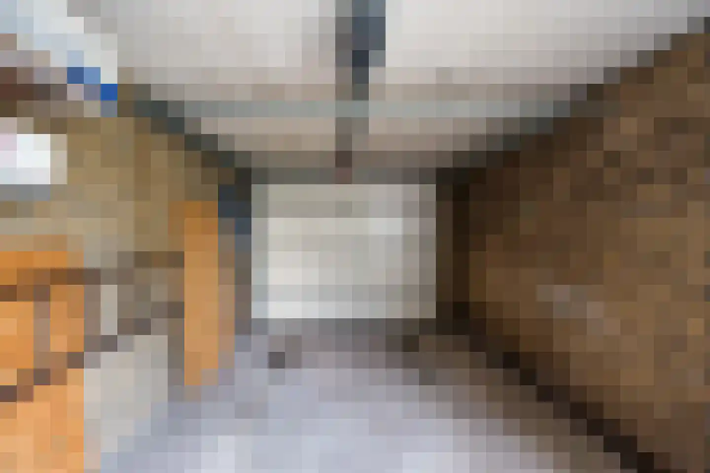 Prins van Oranjestraat 18 Wormer thumbnail 40