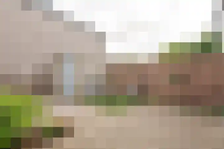 Prins van Oranjestraat 2 Geldermalsen thumbnail 22