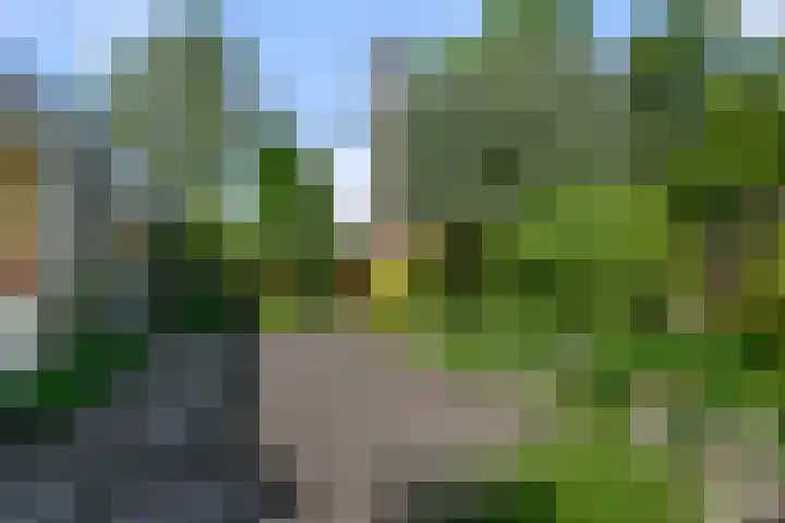 Prins van Oranjestraat 8 Wormer thumbnail 13