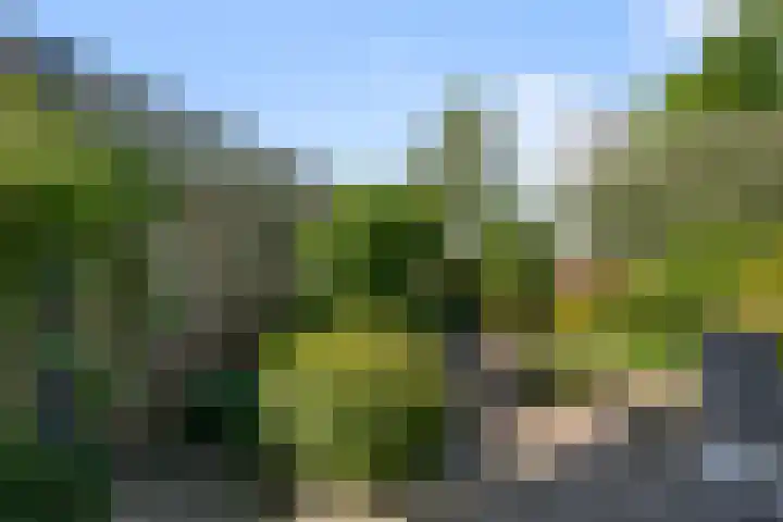 Prins van Oranjestraat 8 Wormer thumbnail 14