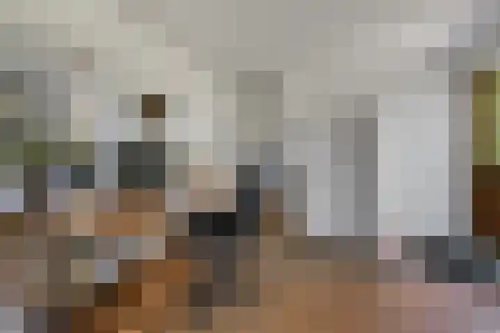 Prins van Oranjestraat 8 Wormer thumbnail 18