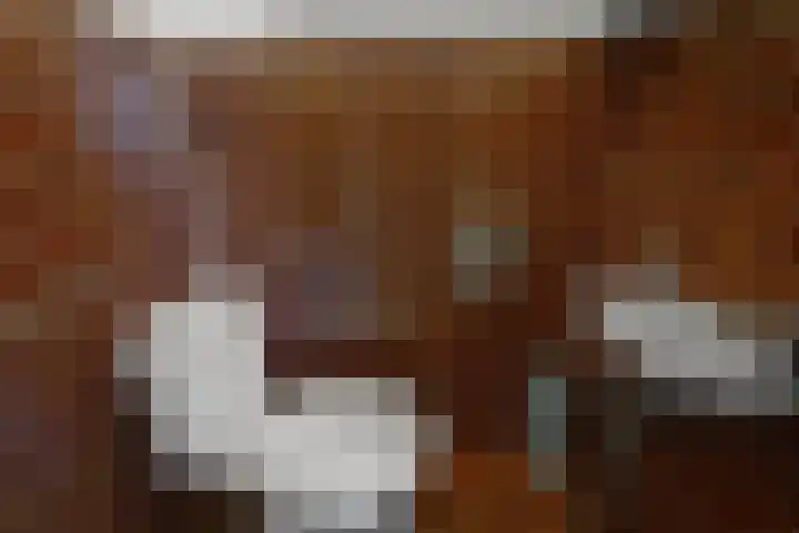 Prins van Oranjestraat 8 Wormer thumbnail 20