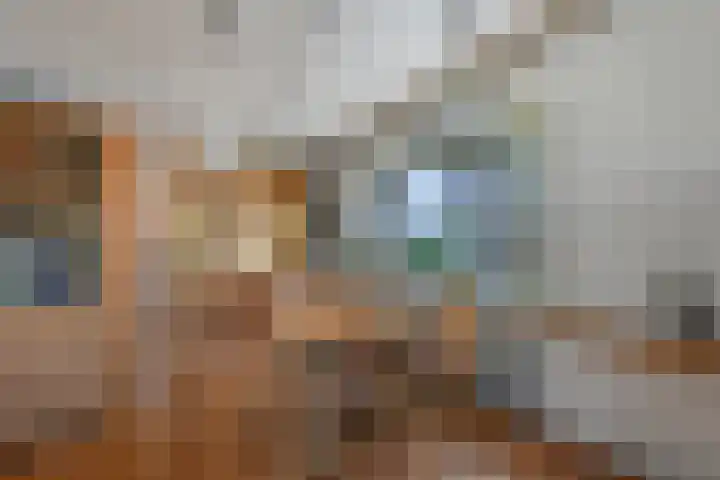 Prins van Oranjestraat 8 Wormer thumbnail 7