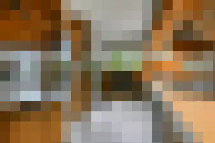 Prins van Oranjestraat 8 Wormer thumbnail 9