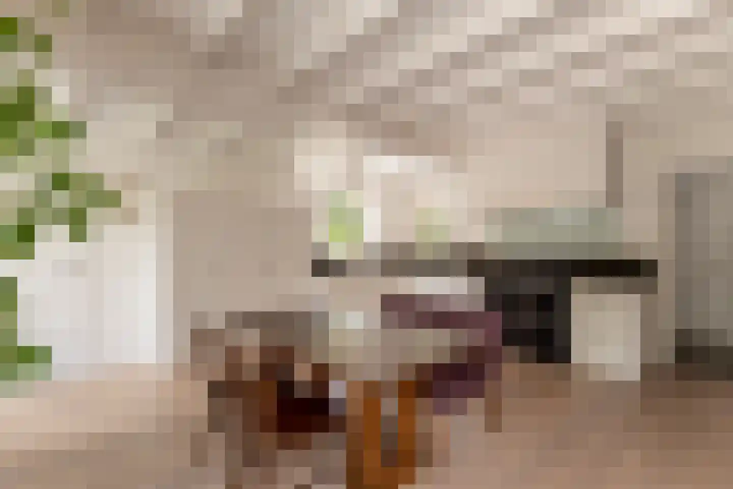 Prins van Wiedlaan 19 Wassenaar thumbnail 14