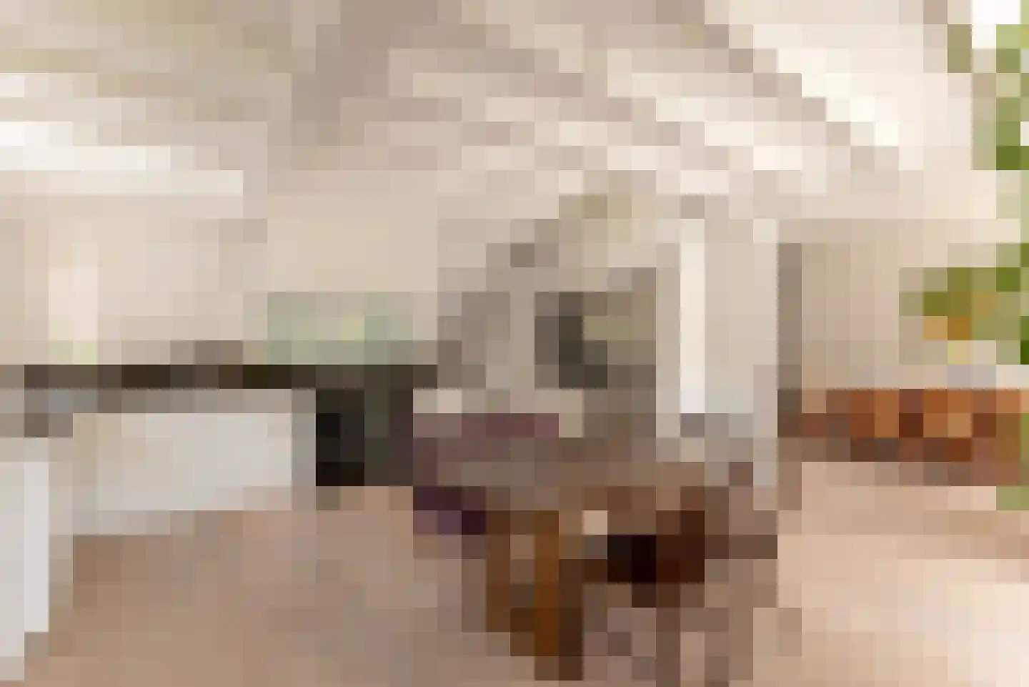 Prins van Wiedlaan 19 Wassenaar thumbnail 16