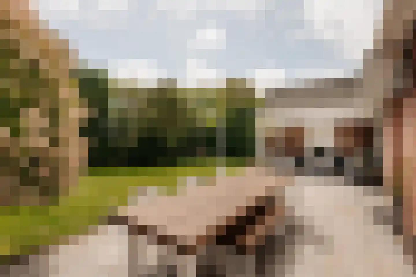 Prins van Wiedlaan 19 Wassenaar thumbnail 18
