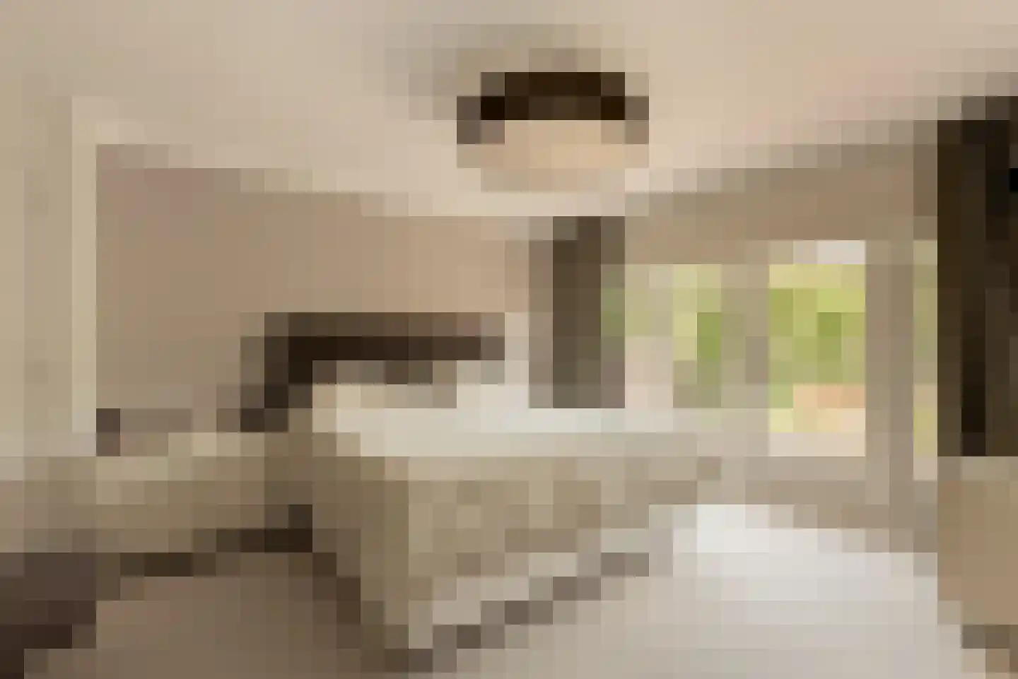 Prins van Wiedlaan 19 Wassenaar thumbnail 24
