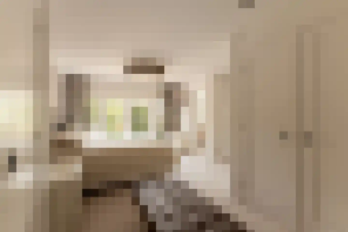 Prins van Wiedlaan 19 Wassenaar thumbnail 26