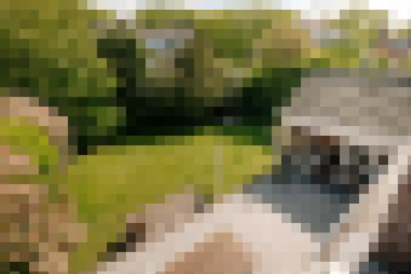 Prins van Wiedlaan 19 Wassenaar thumbnail 27