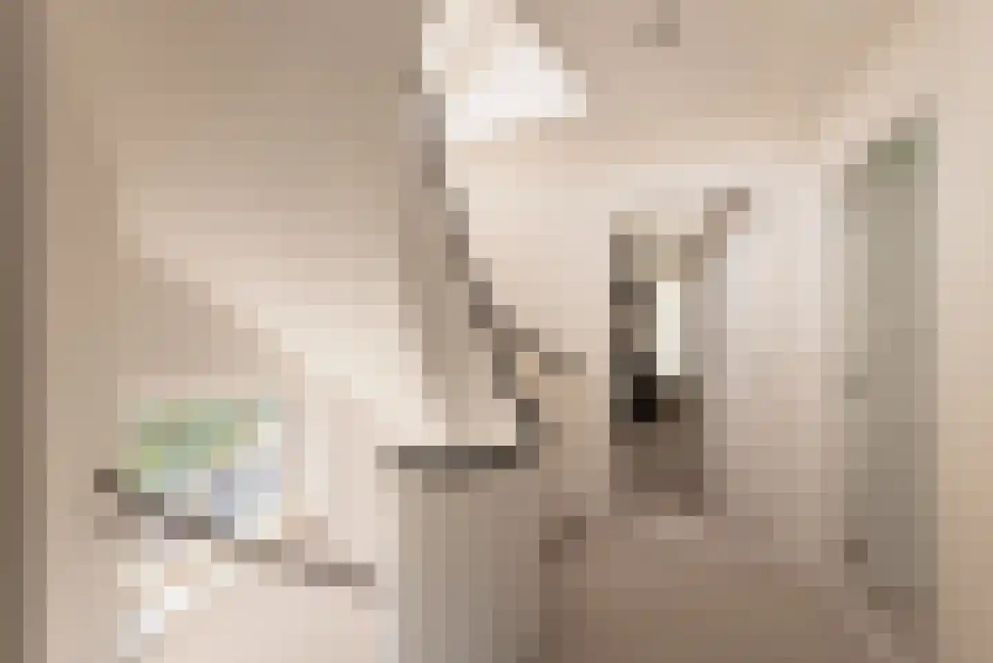 Prins van Wiedlaan 19 Wassenaar thumbnail 31