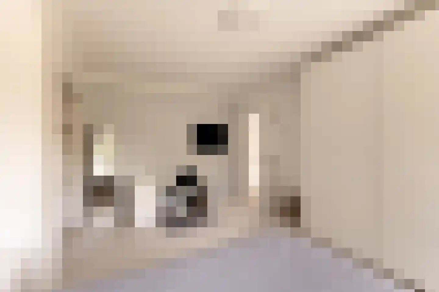 Prins van Wiedlaan 19 Wassenaar thumbnail 34