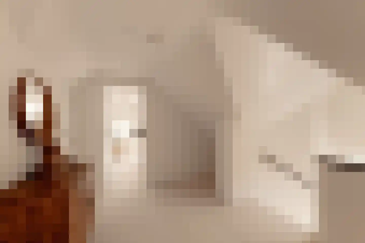 Prins van Wiedlaan 19 Wassenaar thumbnail 36