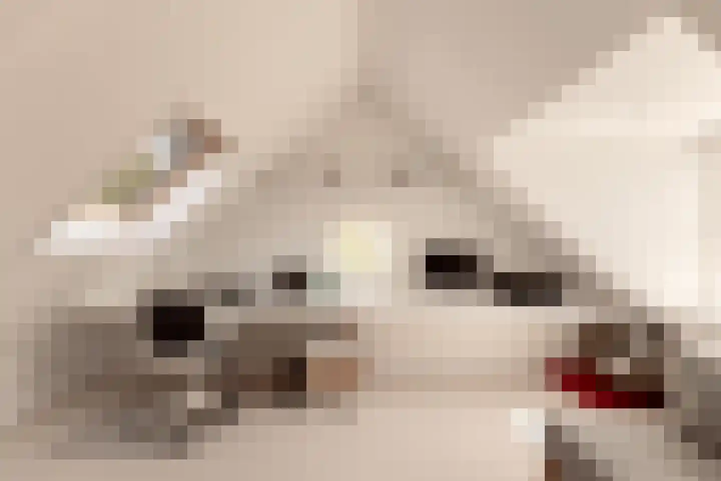 Prins van Wiedlaan 19 Wassenaar thumbnail 37