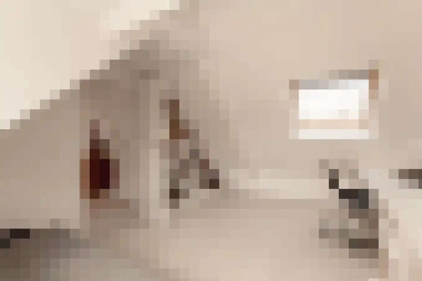 Prins van Wiedlaan 19 Wassenaar thumbnail 38