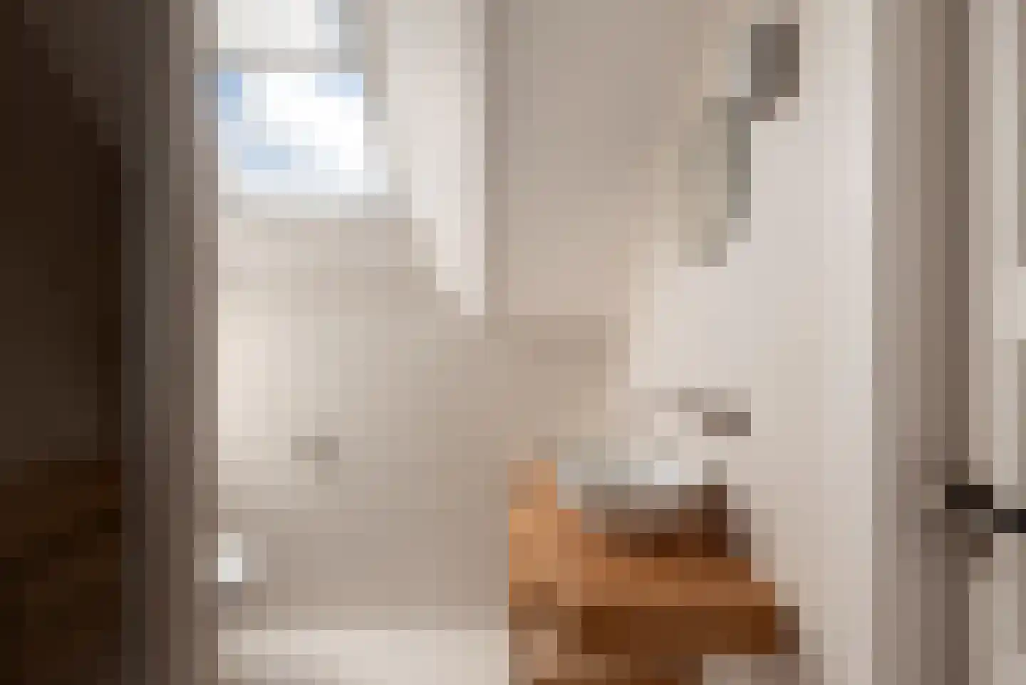 Prins van Wiedlaan 19 Wassenaar thumbnail 41