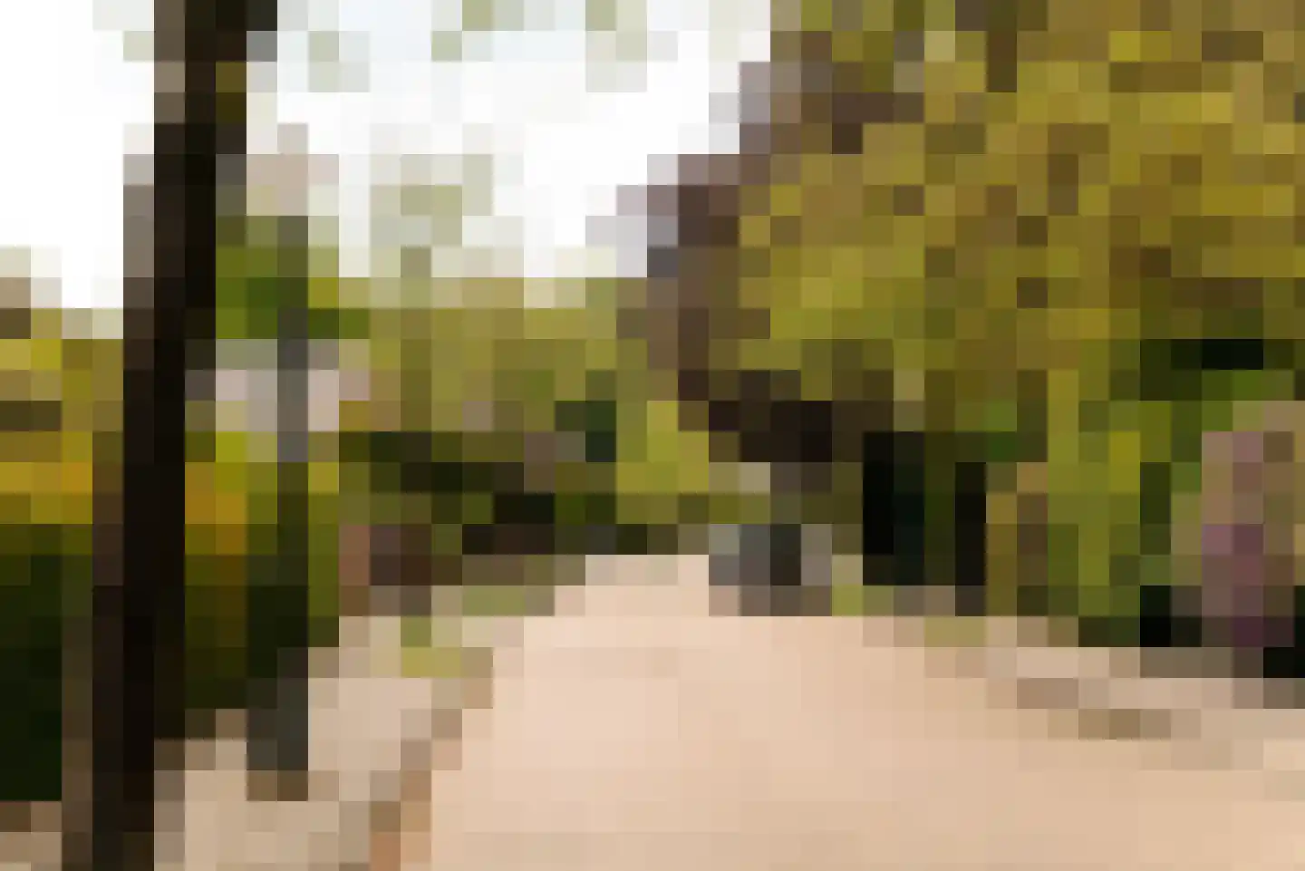 Prins van Wiedlaan 19 Wassenaar thumbnail 47