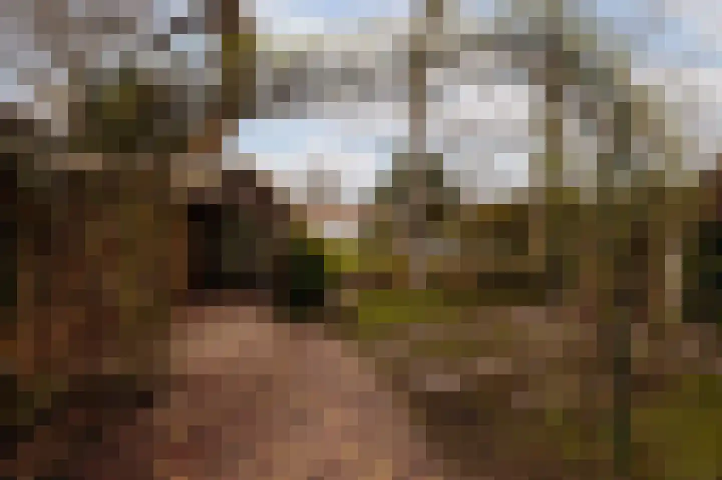 Prins van Wiedlaan 32 Wassenaar thumbnail 19