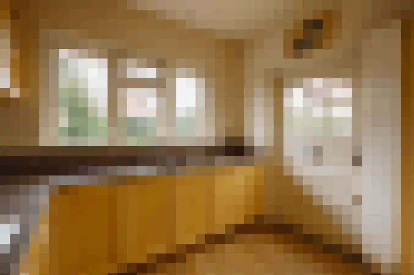 Prins van Wiedlaan 32 Wassenaar thumbnail 20