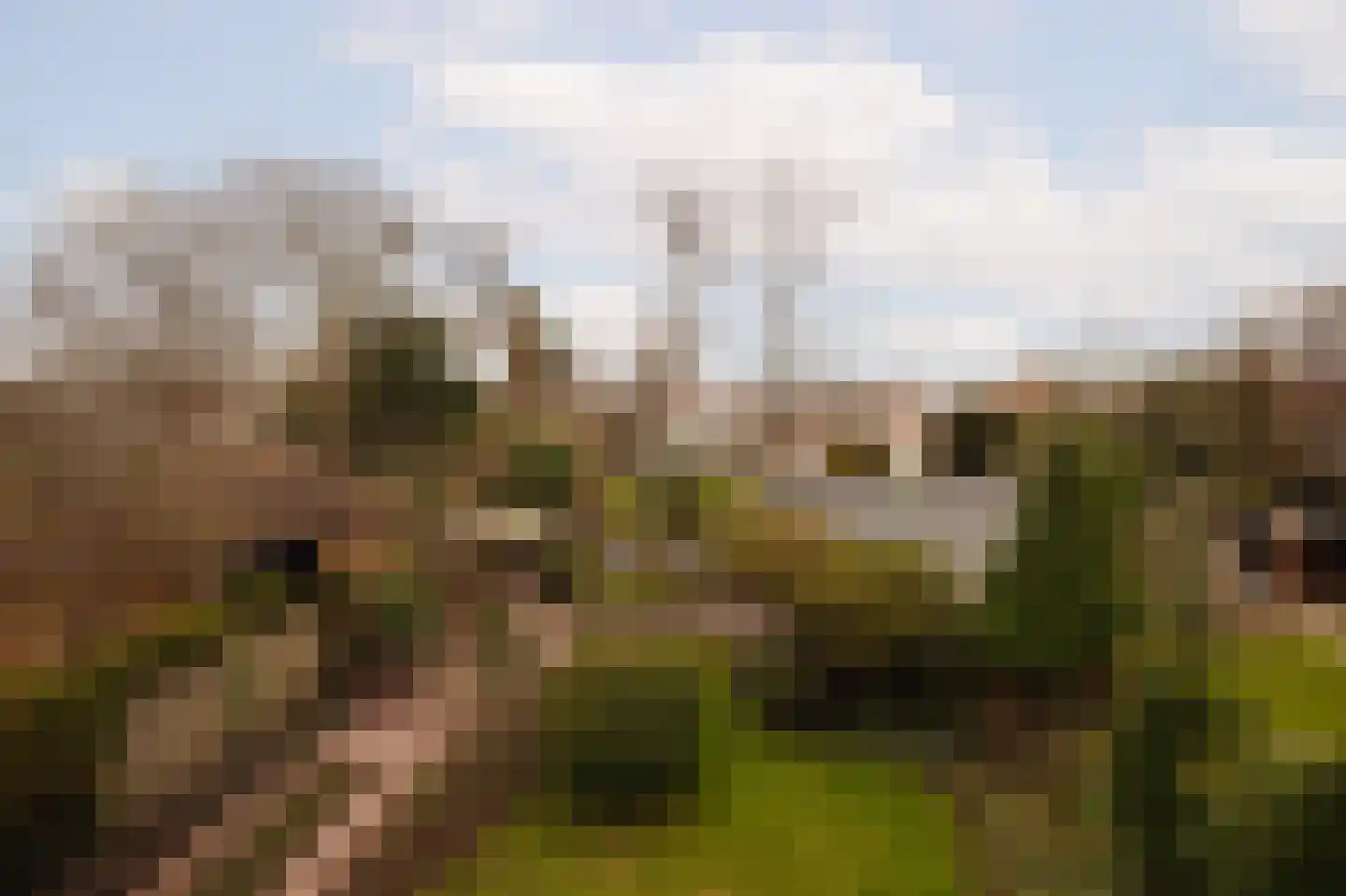 Prins van Wiedlaan 32 Wassenaar thumbnail 34