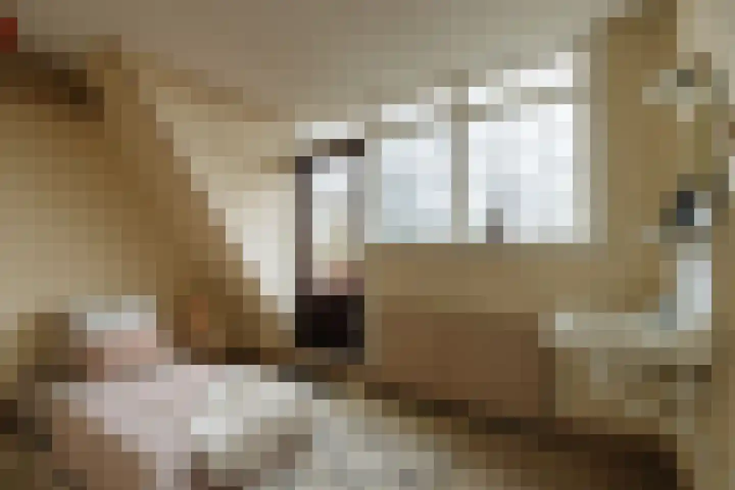 Prins van Wiedlaan 32 Wassenaar thumbnail 37