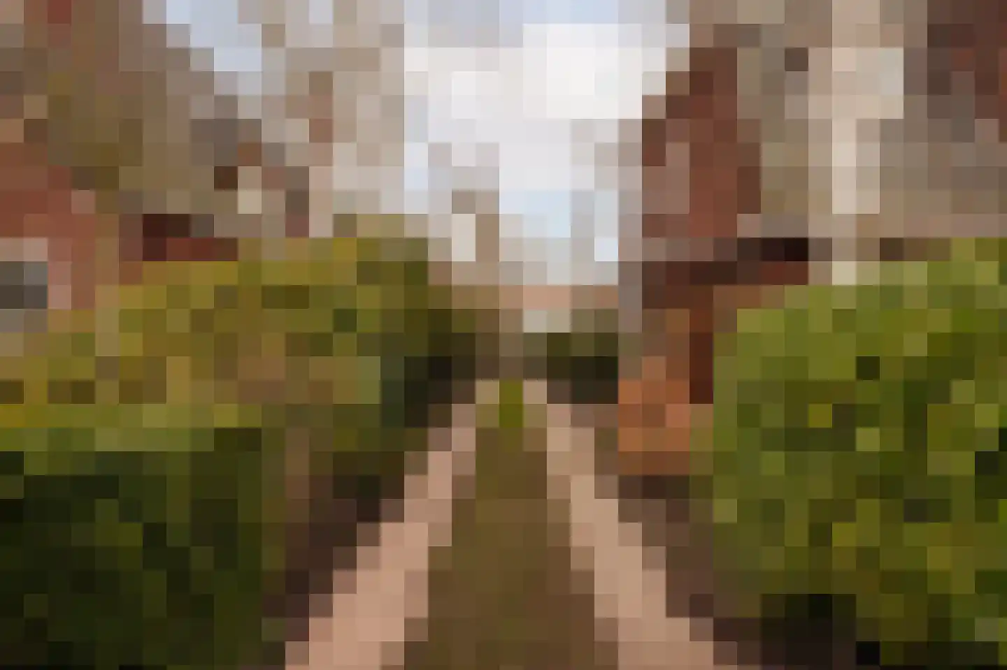 Prins van Wiedlaan 32 Wassenaar thumbnail 4