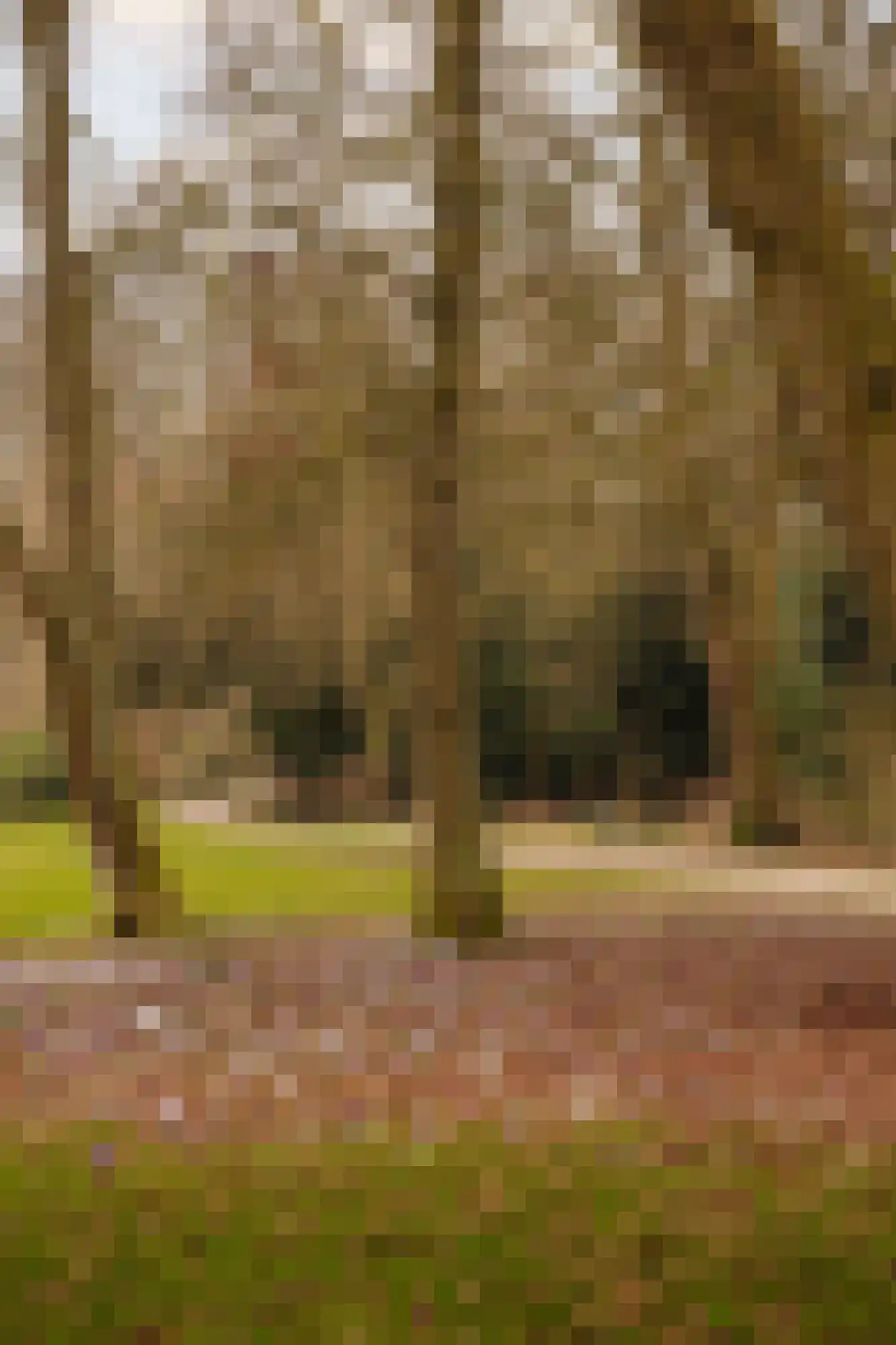 Prins van Wiedlaan 32 Wassenaar thumbnail 44