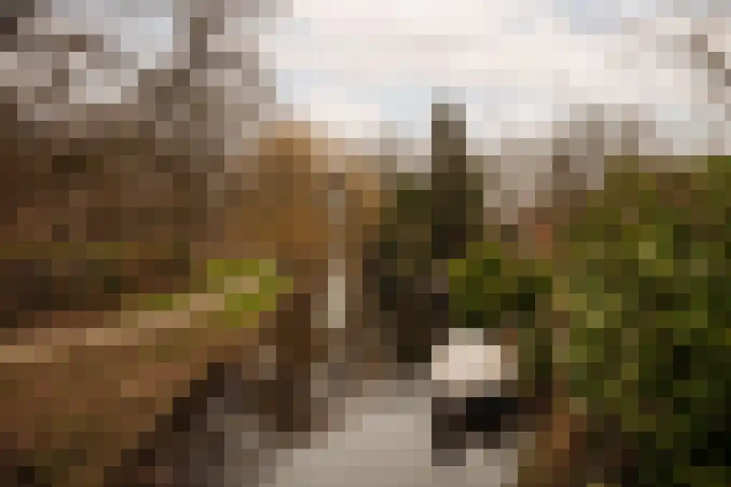 Prins van Wiedlaan 32 Wassenaar thumbnail 45