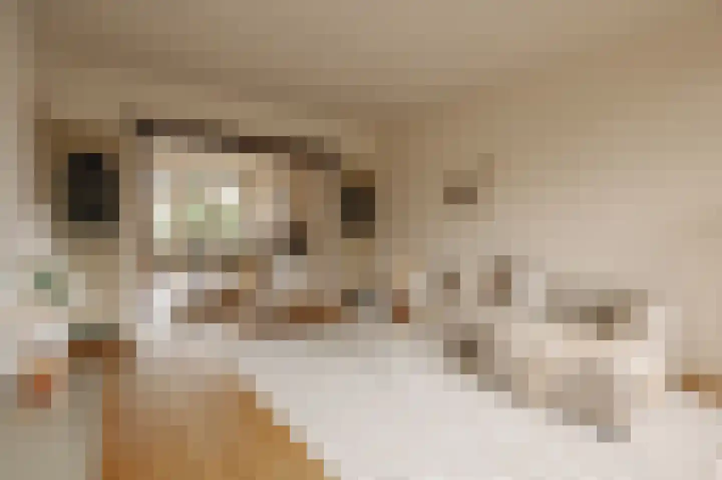 Prins van Wiedlaan 32 Wassenaar thumbnail 8