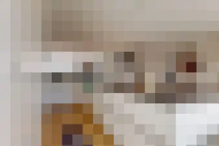 Prins Willem-Alexanderlaan 10 Valkenburg thumbnail 13