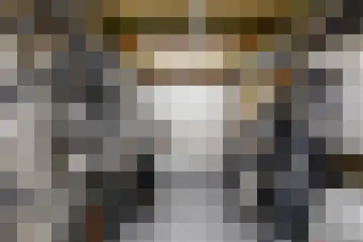 Prins Willem-Alexanderlaan 10 Valkenburg thumbnail 16