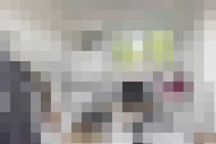 Prins Willem-Alexanderlaan 10 Valkenburg thumbnail 26