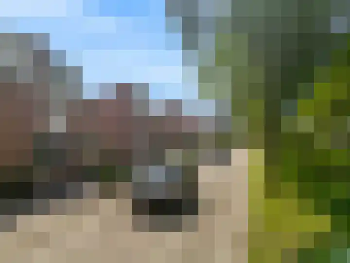 Prins Willem-Alexanderlaan 10 Valkenburg thumbnail 6
