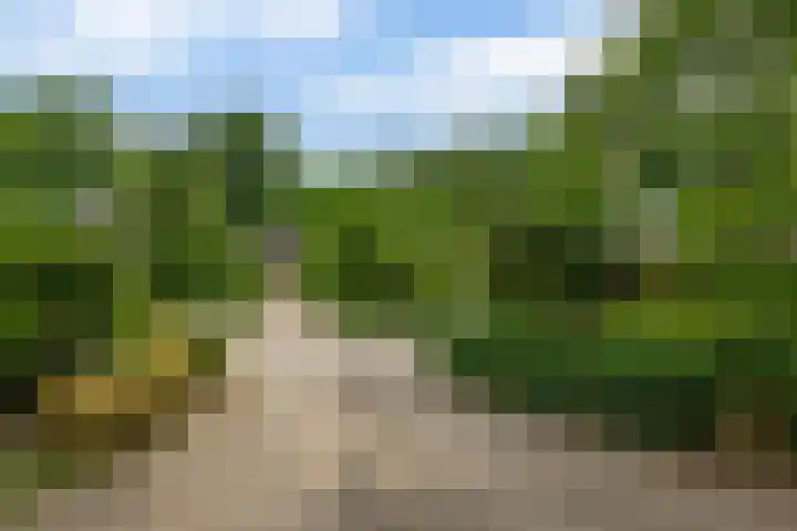 Prins Willem-Alexanderlaan 112 Bennekom thumbnail 6