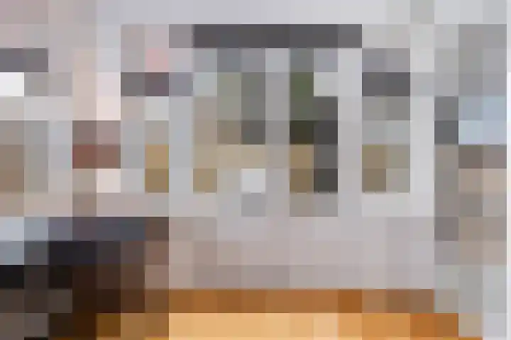 Prins Willem-Alexanderlaan 1453 Apeldoorn thumbnail 12