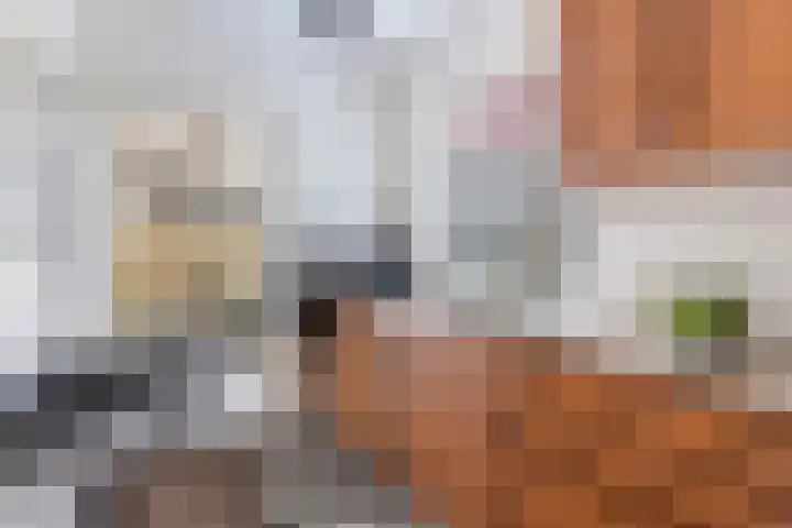 Prins Willem-Alexanderlaan 1453 Apeldoorn thumbnail 13