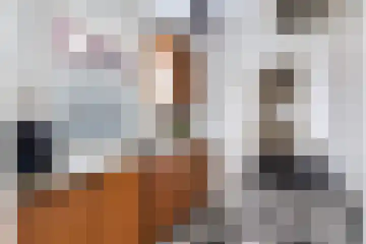Prins Willem-Alexanderlaan 1453 Apeldoorn thumbnail 14
