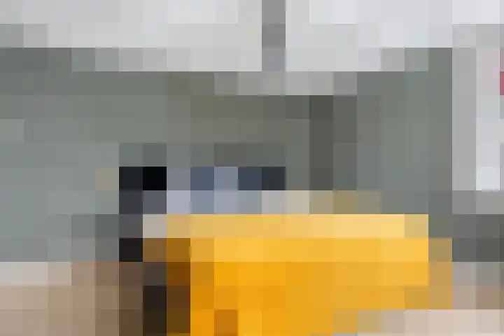 Prins Willem-Alexanderlaan 1453 Apeldoorn thumbnail 21