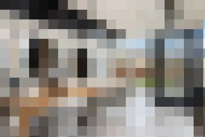 Prins Willem-Alexanderlaan 1453 Apeldoorn thumbnail 33