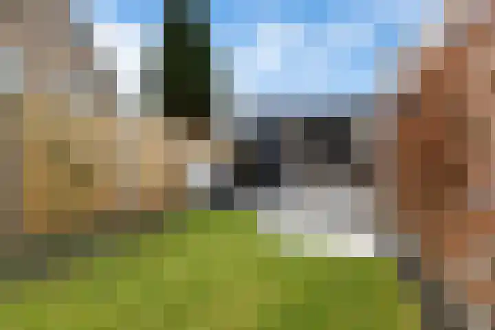 Prins Willem-Alexanderlaan 1453 Apeldoorn thumbnail 38