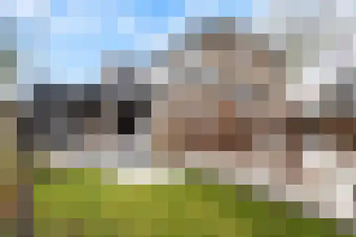 Prins Willem-Alexanderlaan 1453 Apeldoorn thumbnail 39