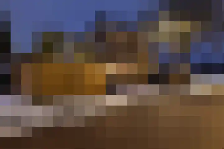 Prins Willem-Alexanderlaan 1453 Apeldoorn thumbnail 51