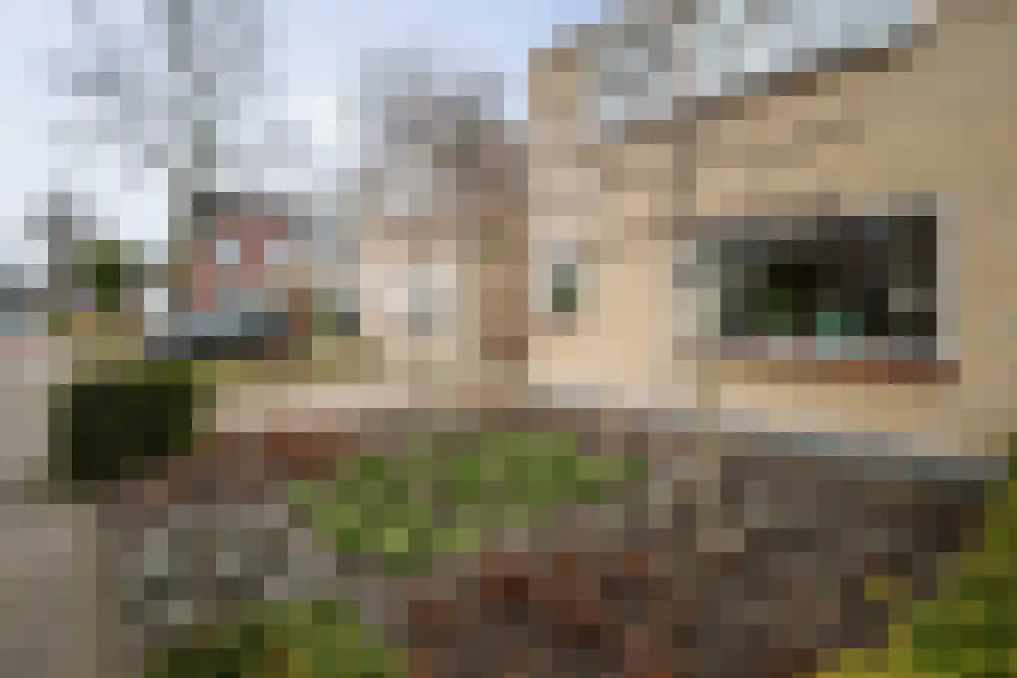 Prins Willem-Alexanderlaan 19 Bathmen thumbnail 29