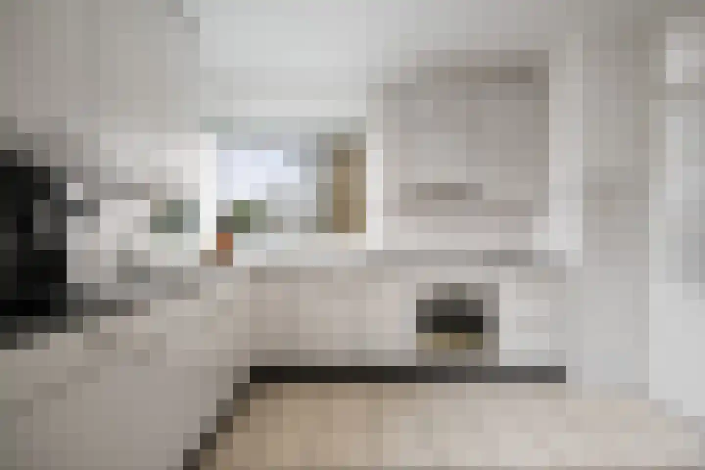 Prins Willem-Alexanderlaan 19 Bathmen thumbnail 9