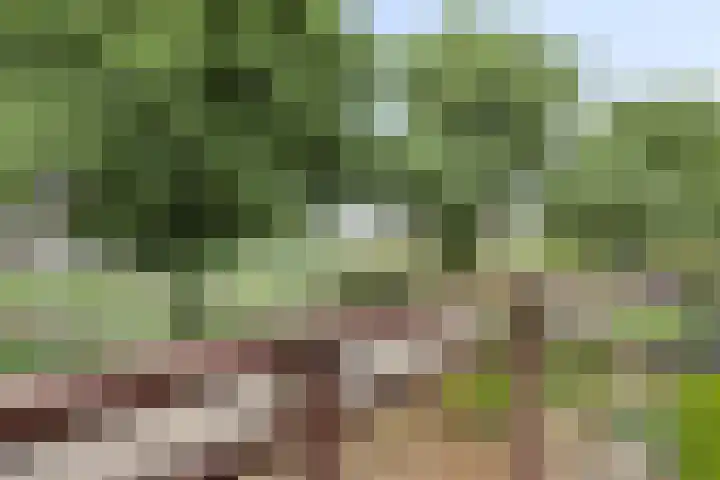 Prins Willem Alexanderlaan 22 Bunde thumbnail 19