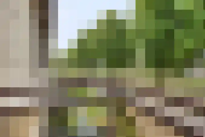 Prins Willem Alexanderlaan 22 Bunde thumbnail 20