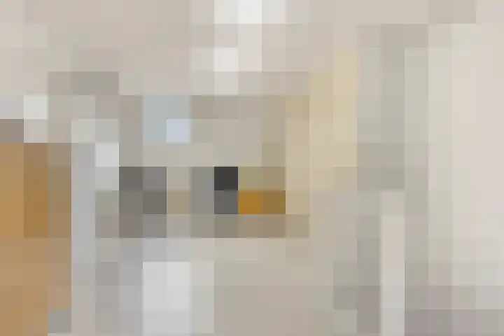 Prins Willem Alexanderlaan 22 Bunde thumbnail 25