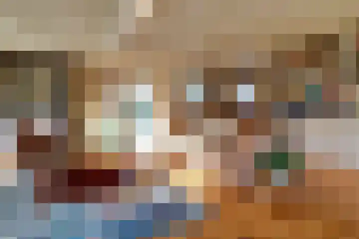 Prins Willem Alexanderlaan 24 't Harde thumbnail 16