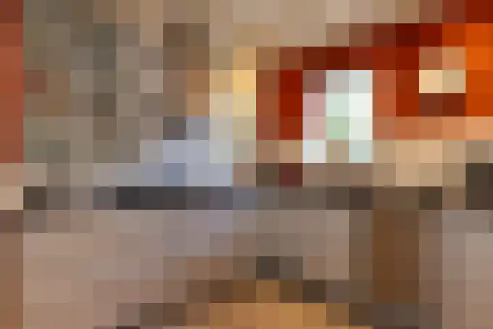 Prins Willem Alexanderlaan 24 't Harde thumbnail 20