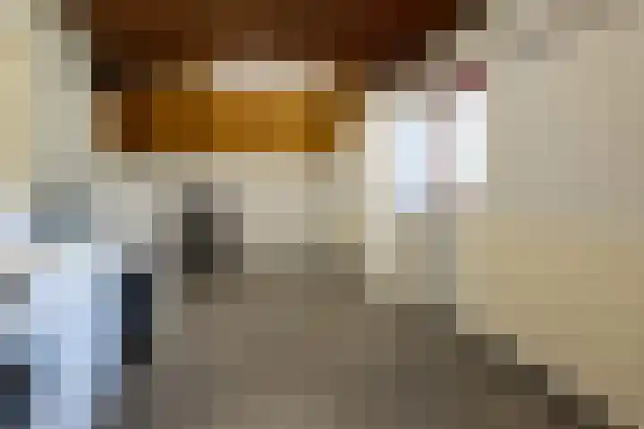 Prins Willem Alexanderlaan 24 't Harde thumbnail 28
